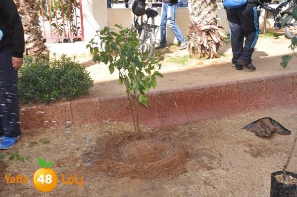 trees shamela 0321 (17).JPG